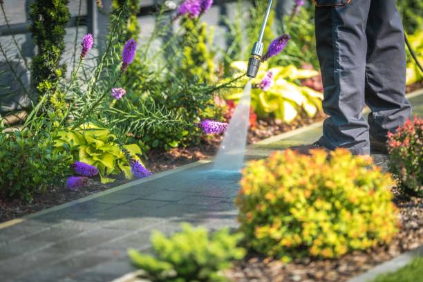 Best Deck and Patio Pressure Washing in Spirit Lake, ID